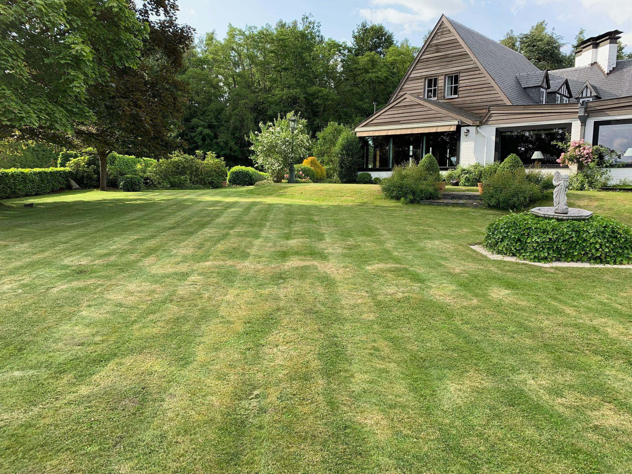 Jardin remis en état