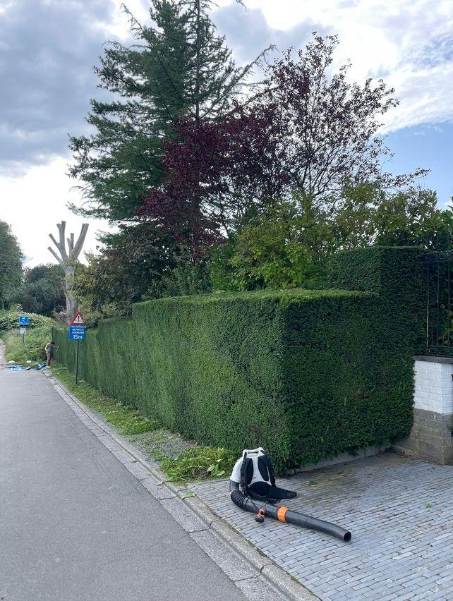 Remise en état jardin