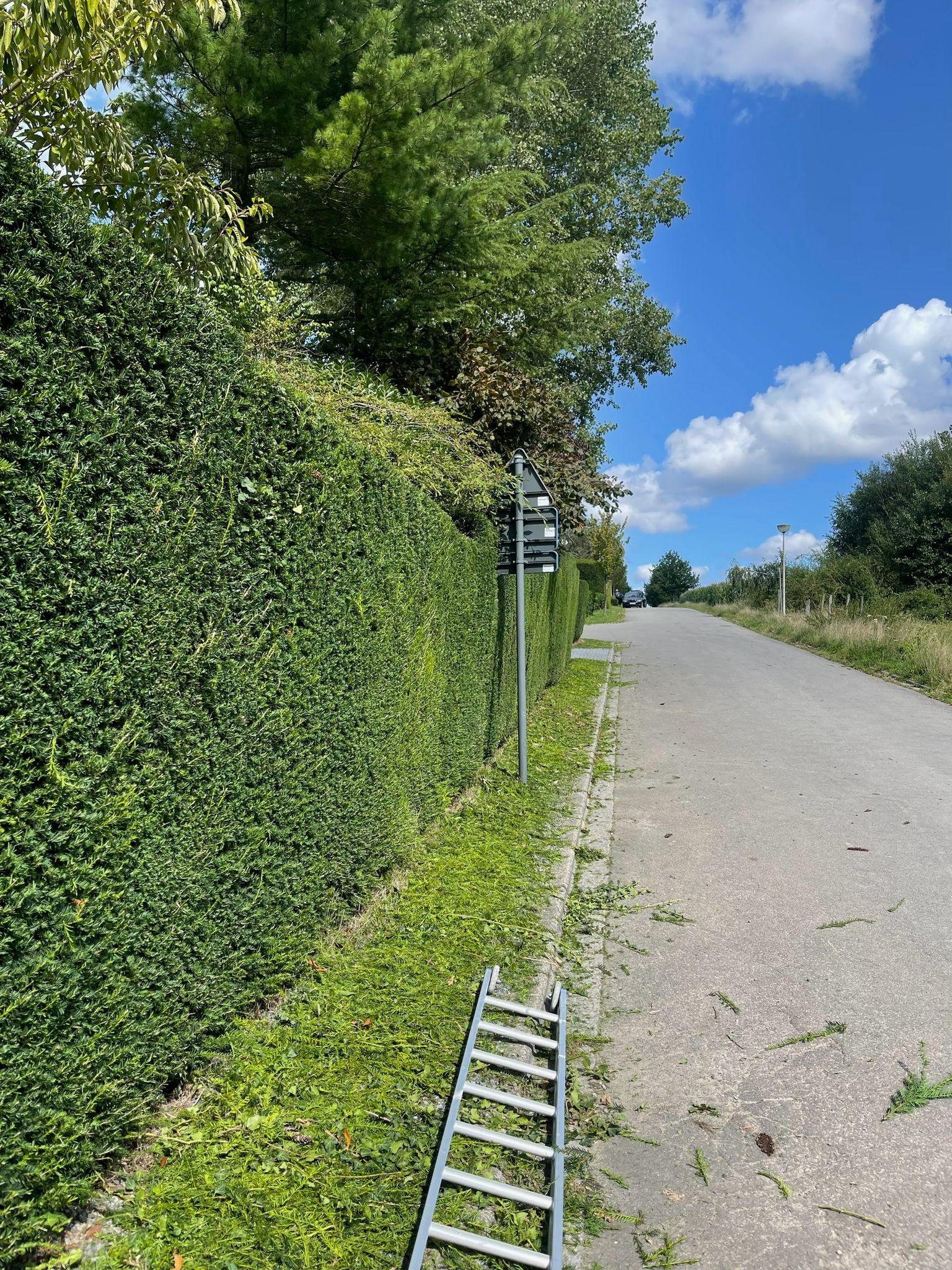 Jardin soigné
