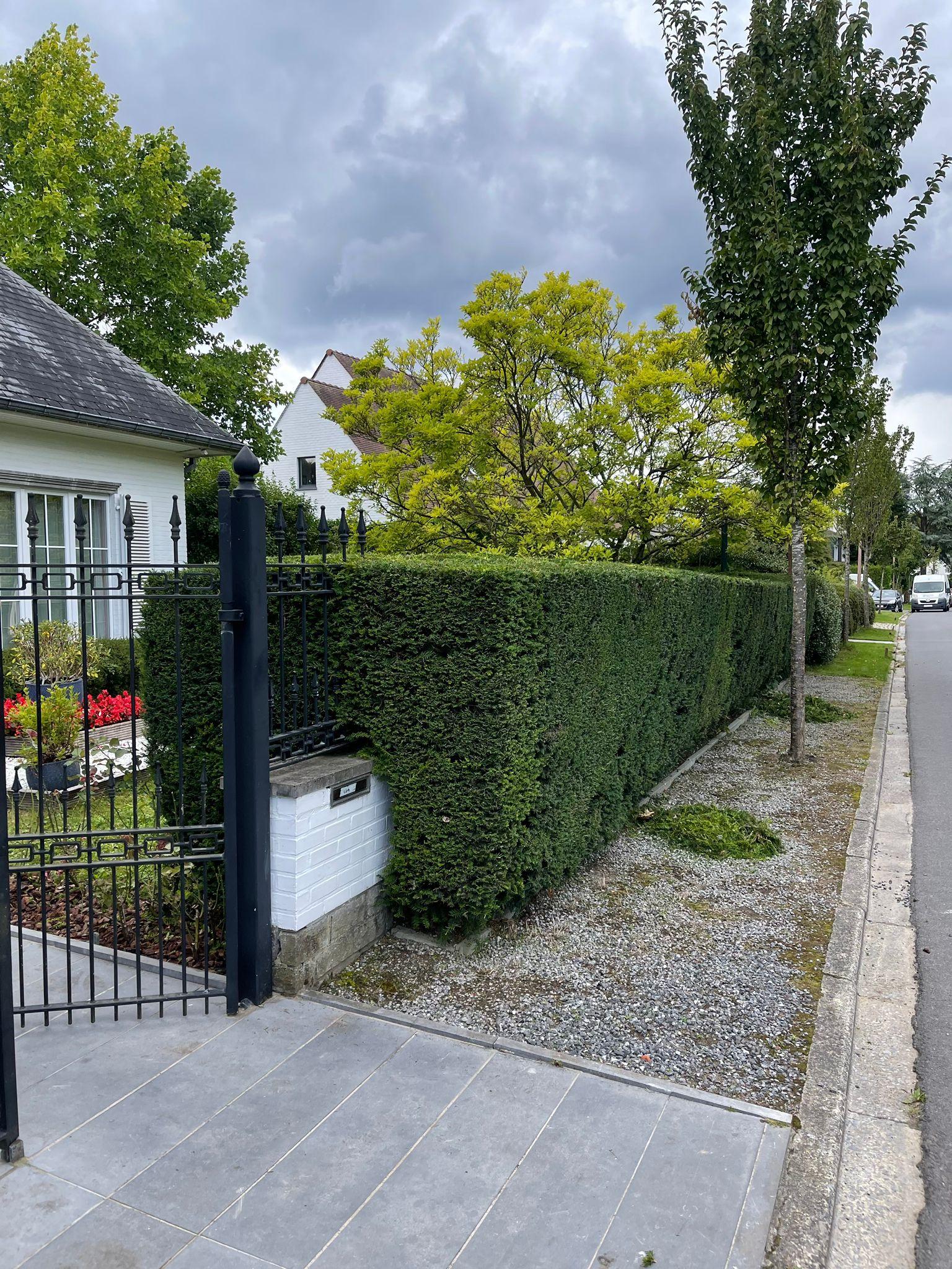 Espace extérieur nettoyé