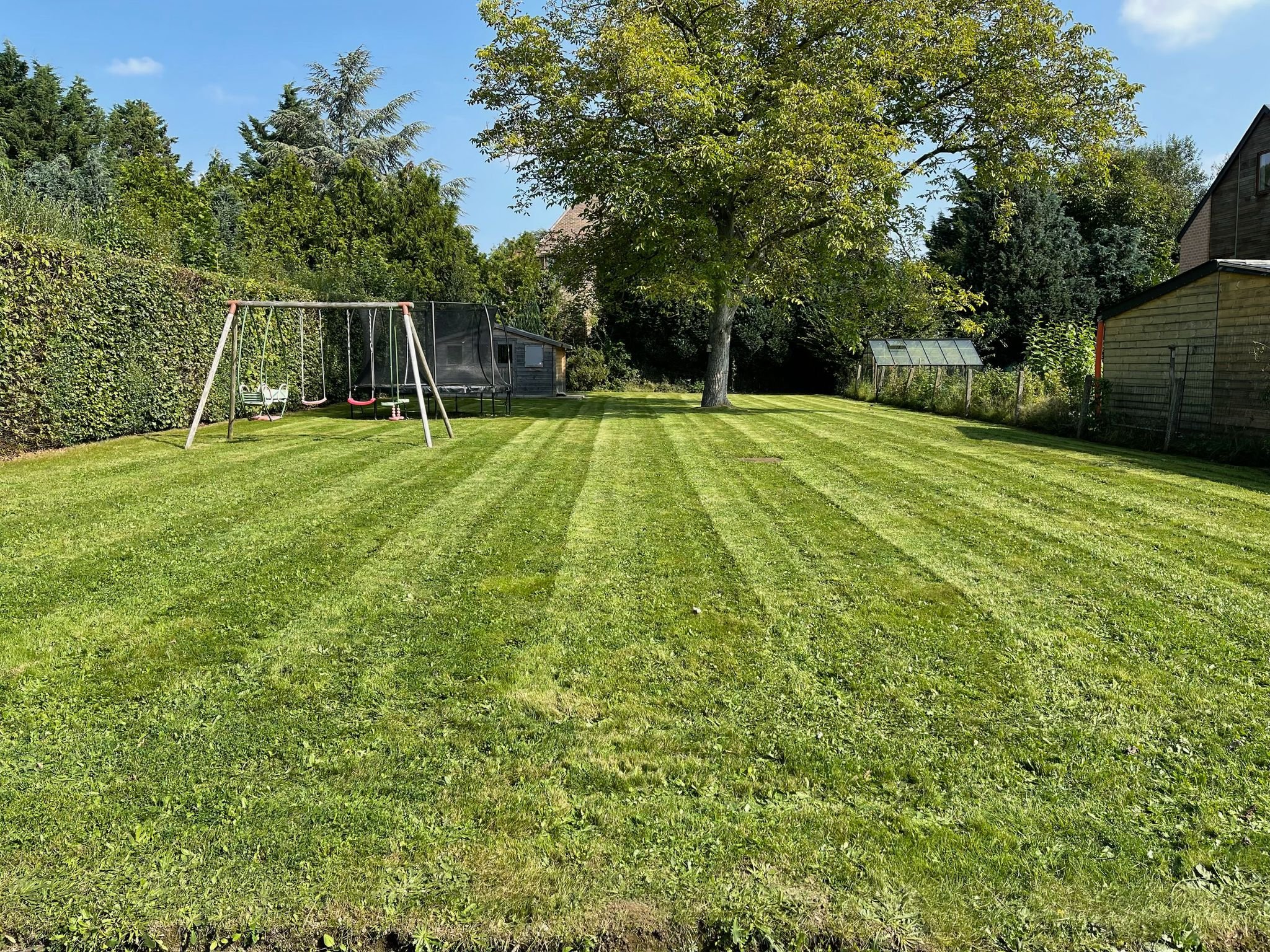 Jardin entretenu professionnellement
