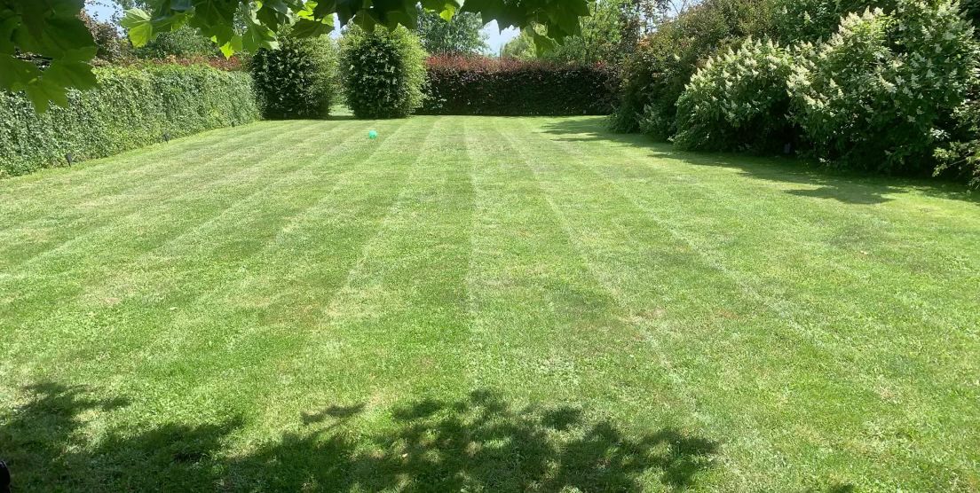 Réalisation jardinage