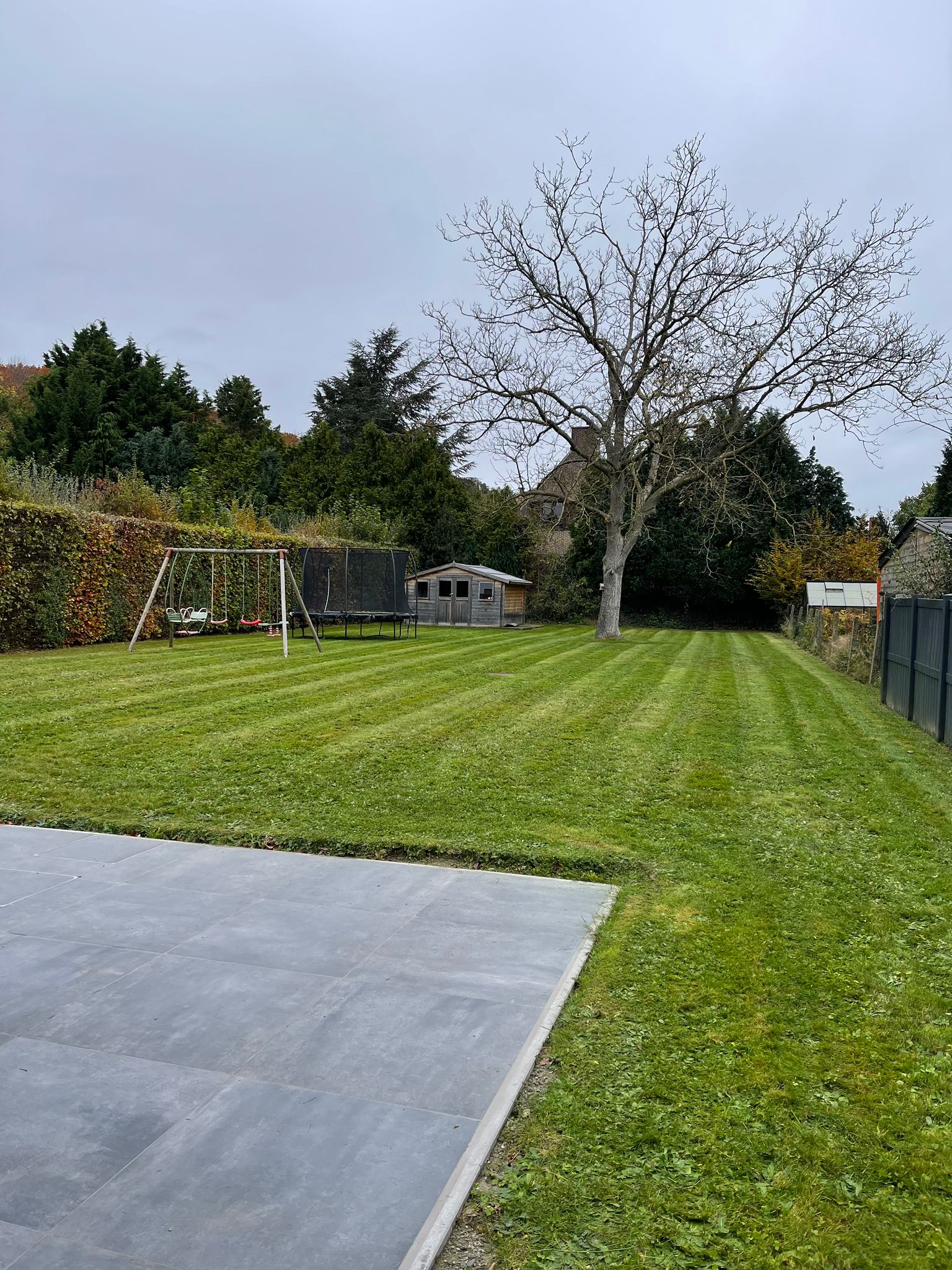 Tonte de pelouse professionnelle