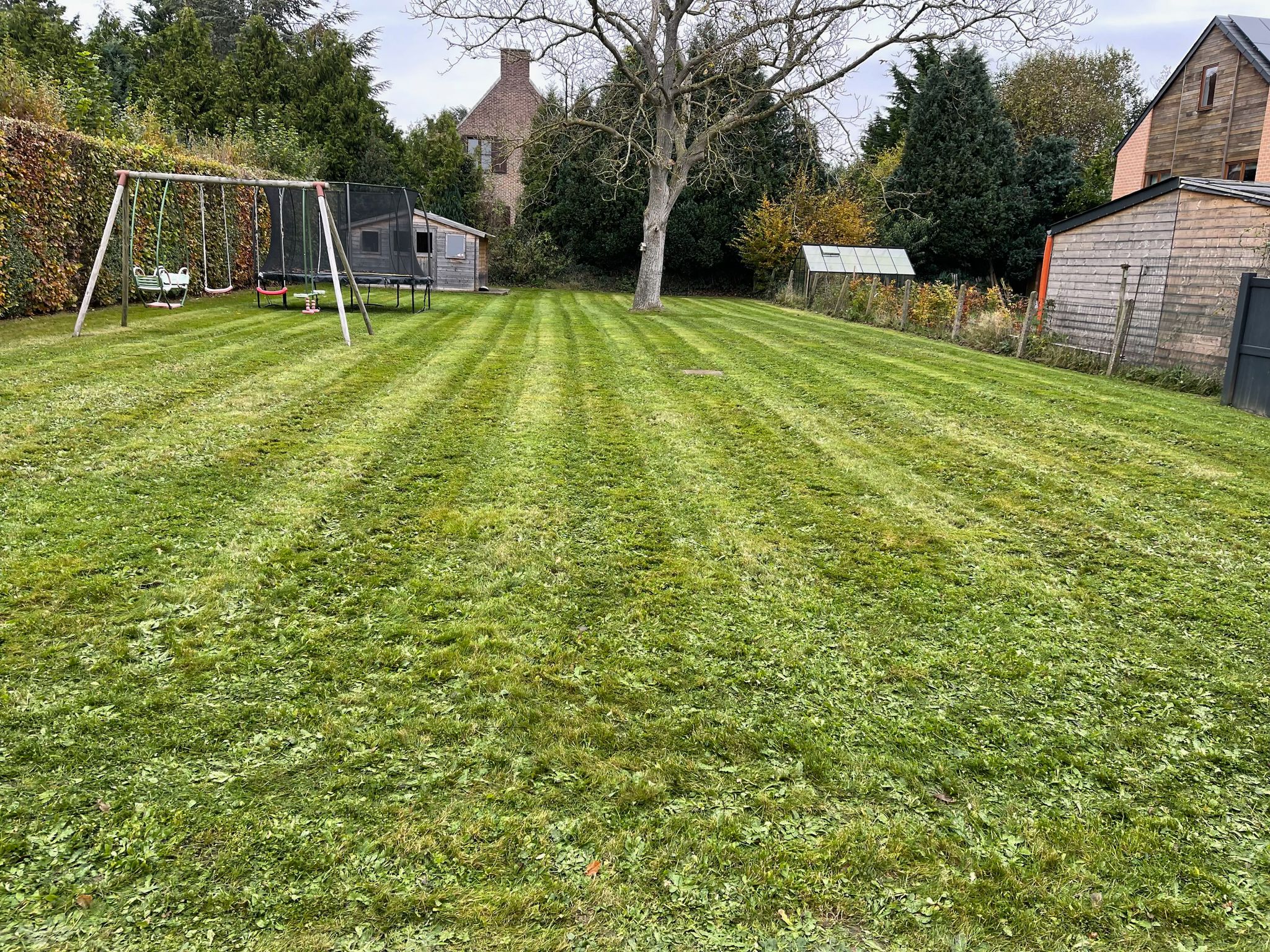 Remise à neuf de jardin