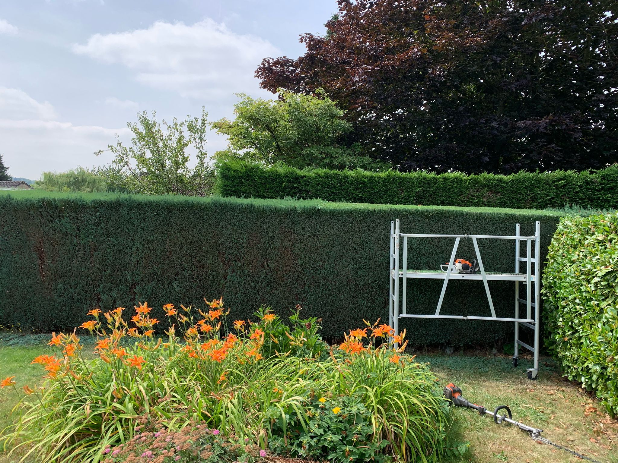 Évacuation déchets verts